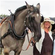 Cours de soutien et aide aux devoirs Allemand, Anglais et Français